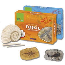 Geo postkarten - Der TOP-Favorit unserer Tester