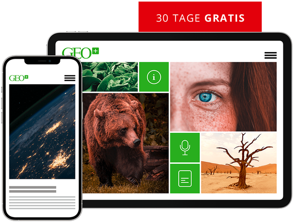 'GEO im Print-
