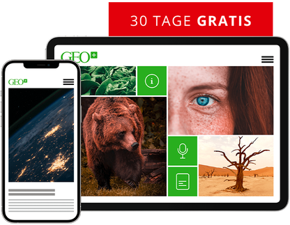 GEO PLUS &ndash; Digital