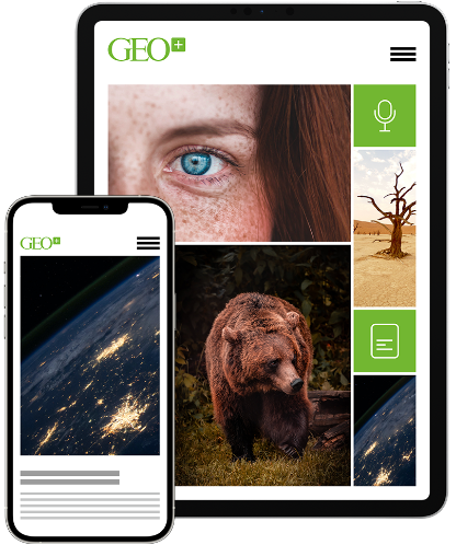 GEO plus