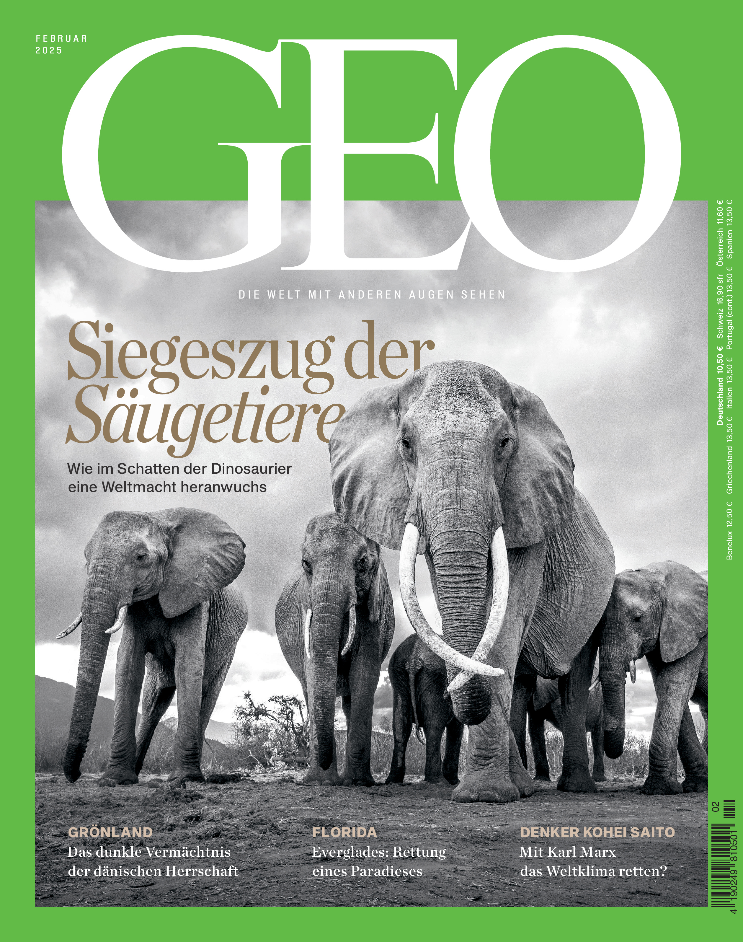 GEO 02/2025