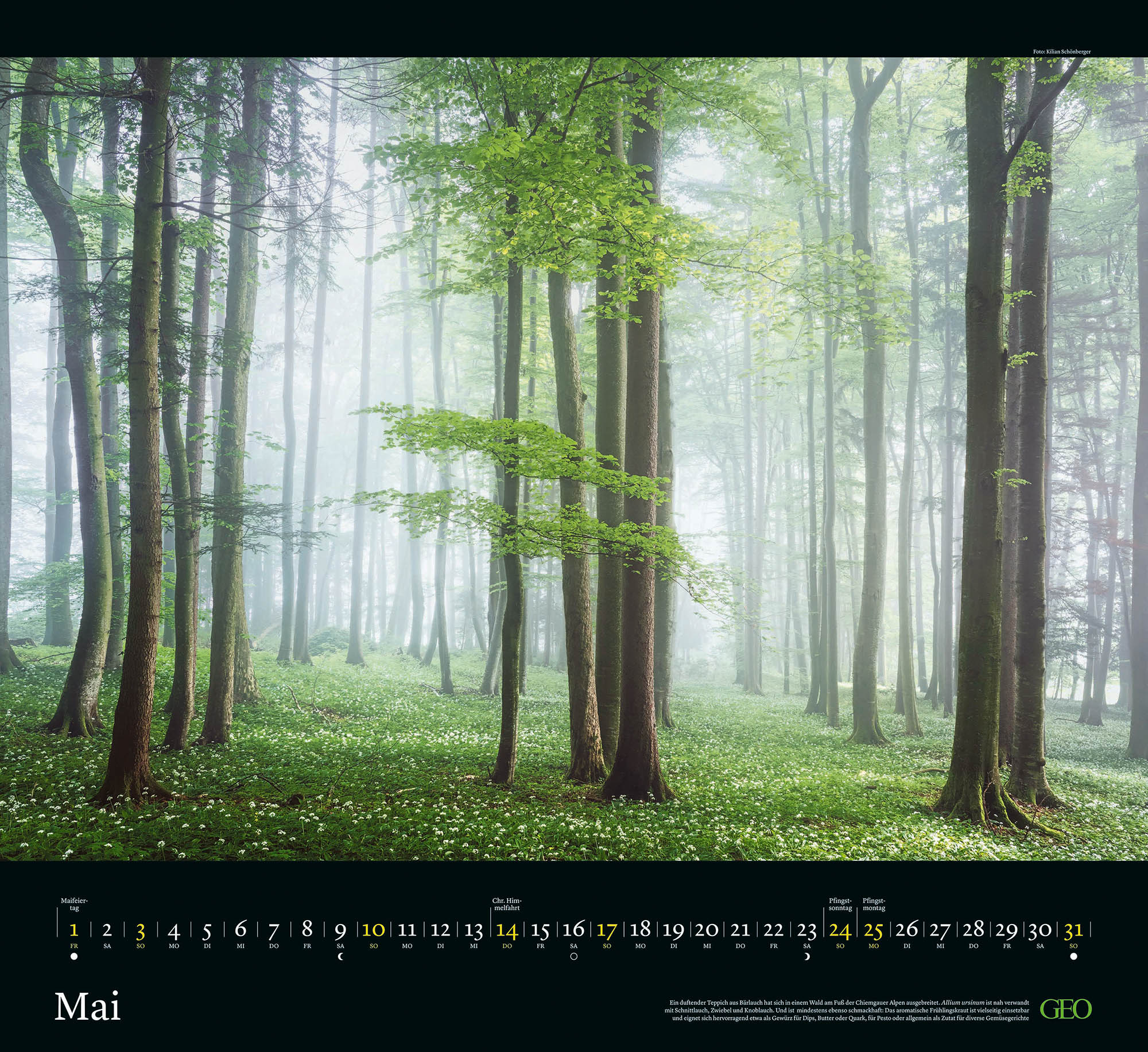 Kalender "Sehnsucht Wald" 2026