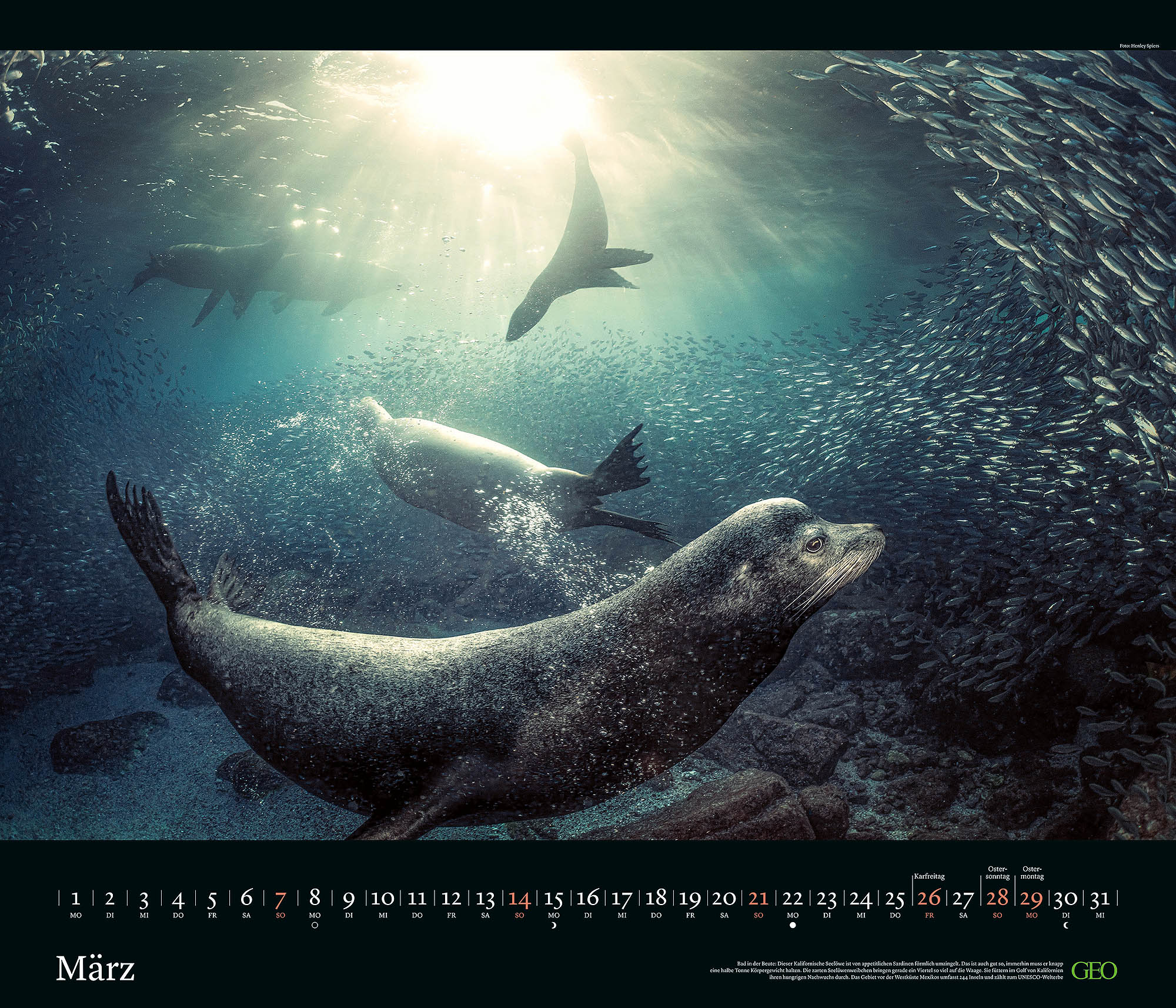 Edition-Kalender "Tierwelten" 2027