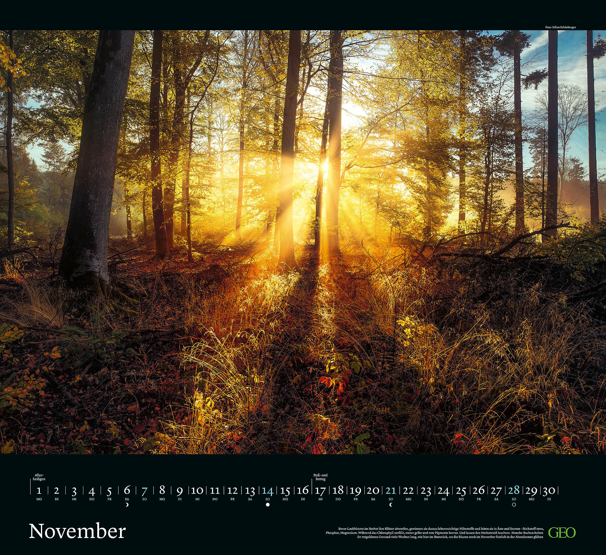Kalender "Sehnsucht Wald" 2027