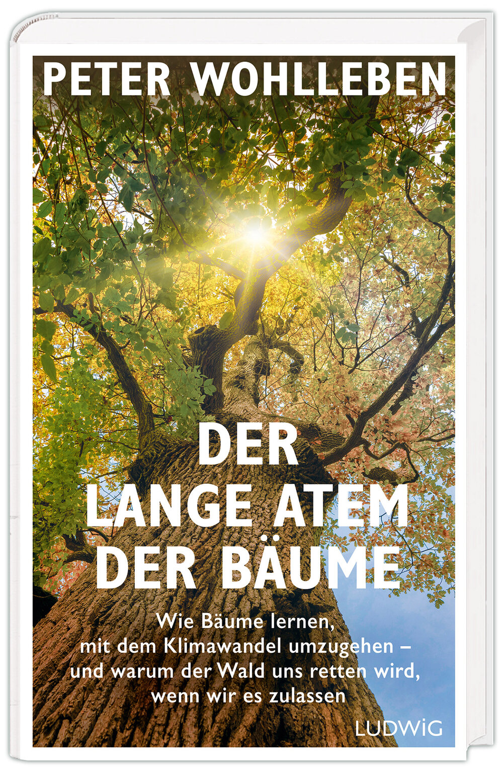 Buch &bdquo;Der lange Atem der B&auml;ume&ldquo; &ndash; Peter Wohlleben