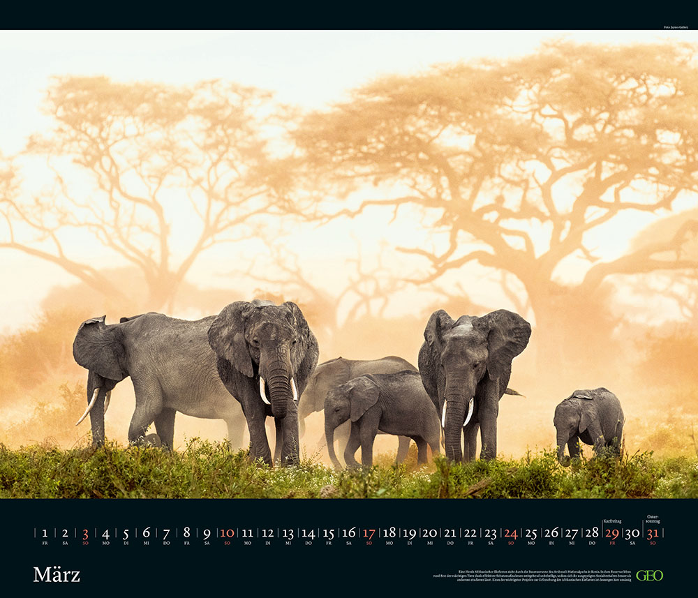 Edition-Kalender "Tierwelten" 2024