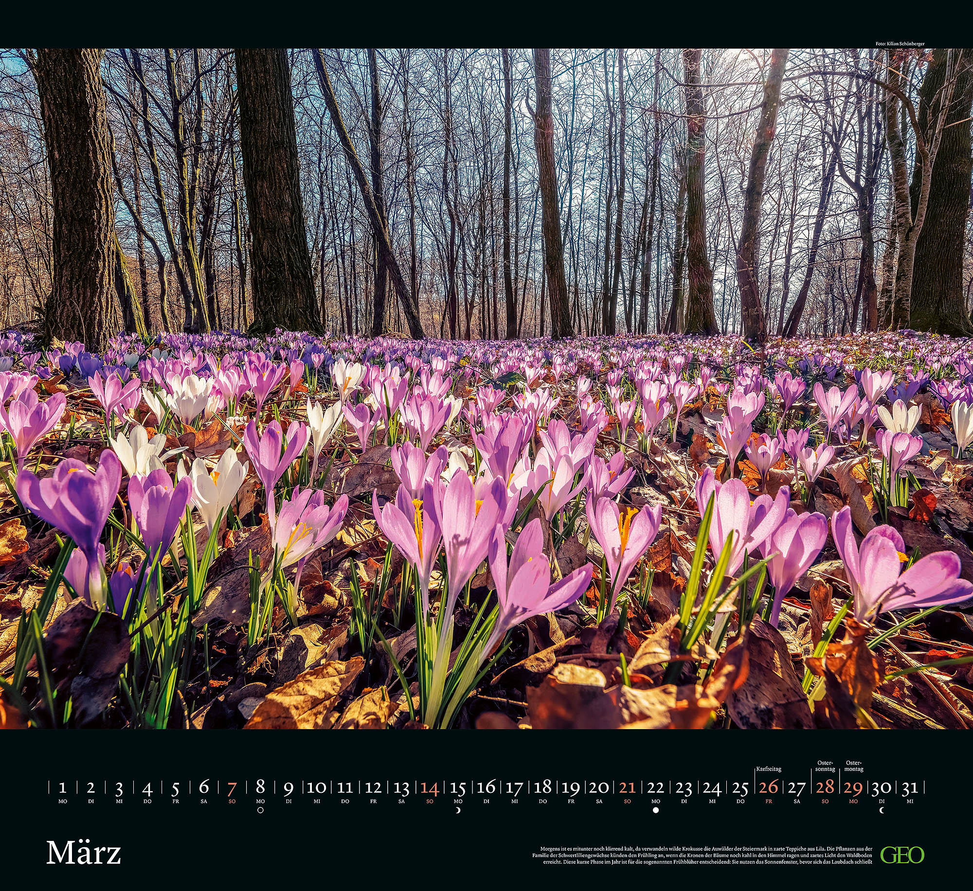 Kalender "Sehnsucht Wald" 2027
