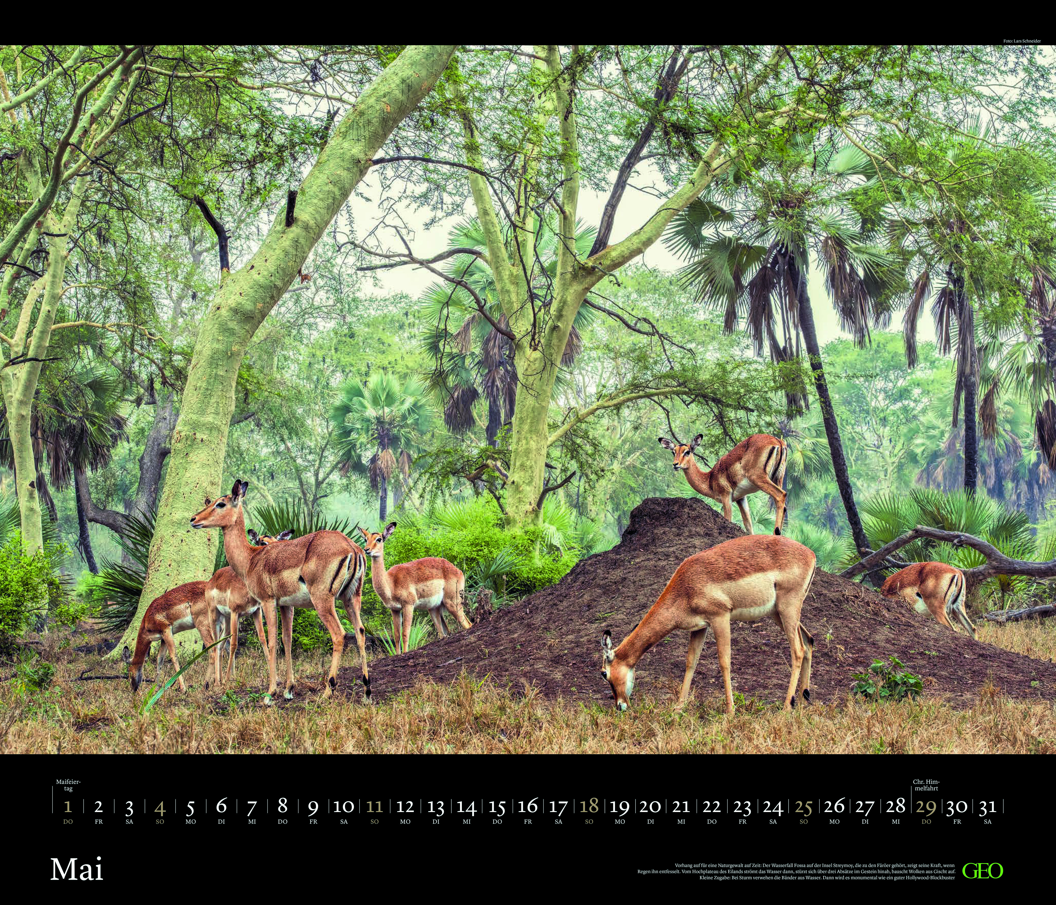 Edition-Kalender "Tierwelten" 2025