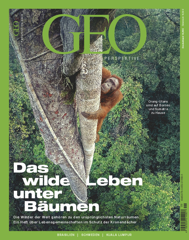 GEO PERSPEKTIVE 09/2026