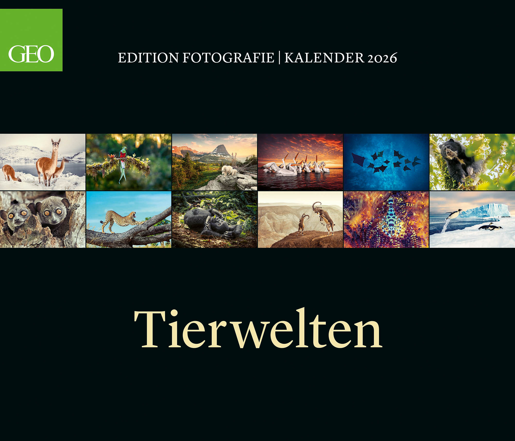 Edition-Kalender "Tierwelten" 2026