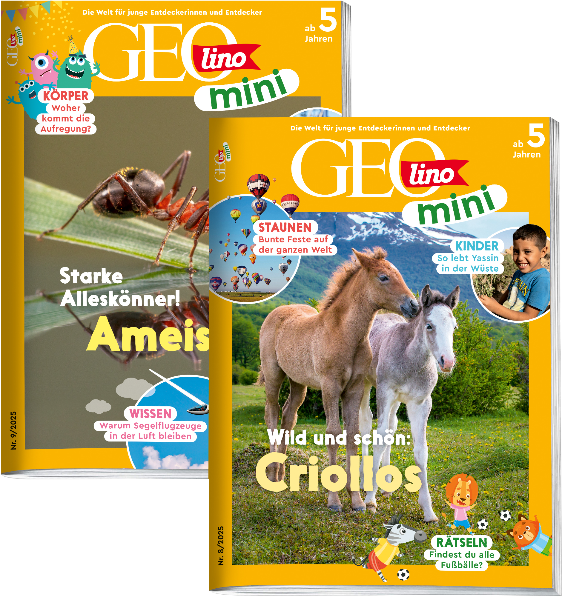 GEOLINO MINI-Bestseller „Ameisen“ & „Criollos“