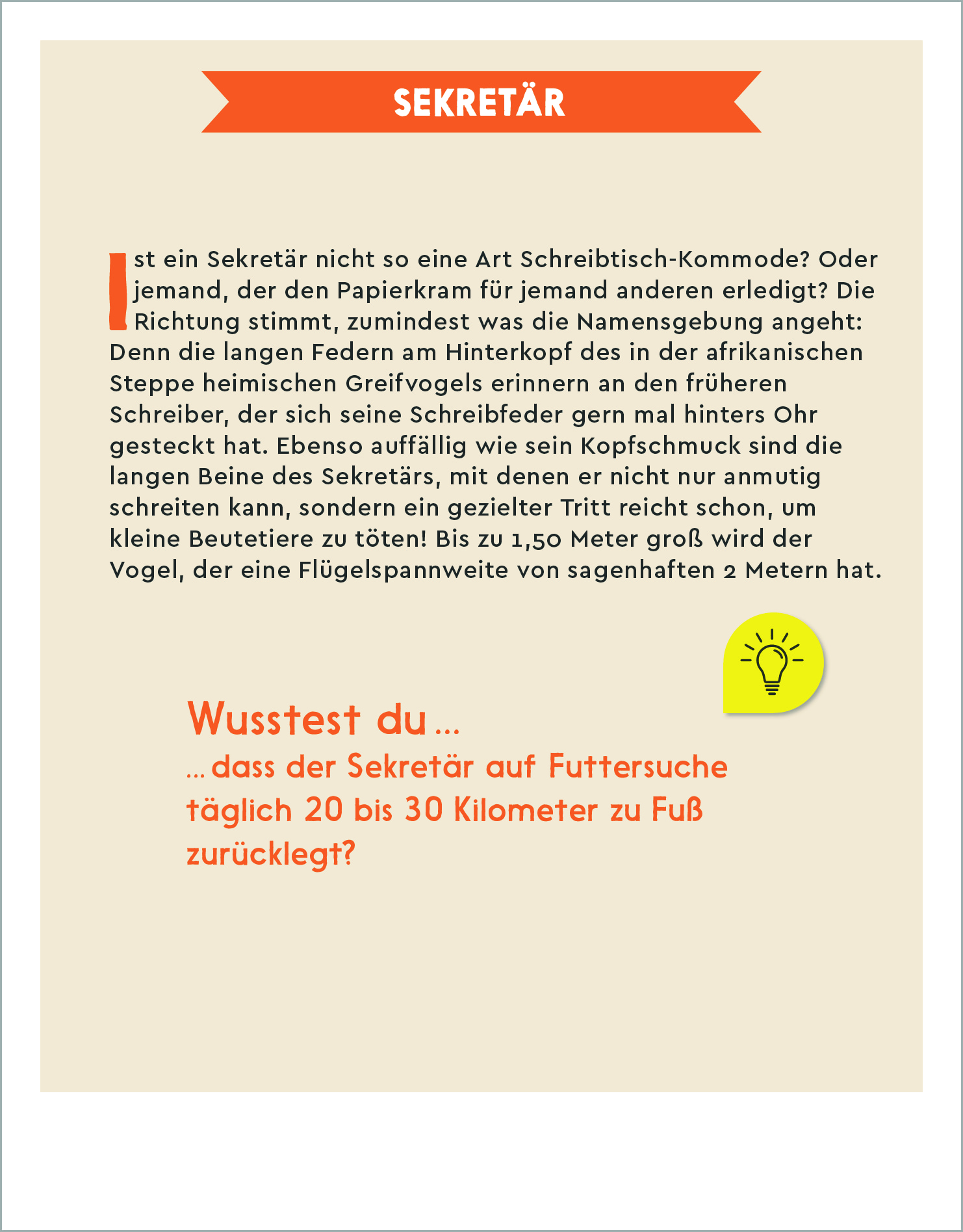 GEOlino Tieraufsteller 2027