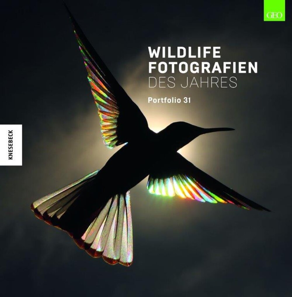 Wildlife Fotografien des Jahres - Portfolio 31