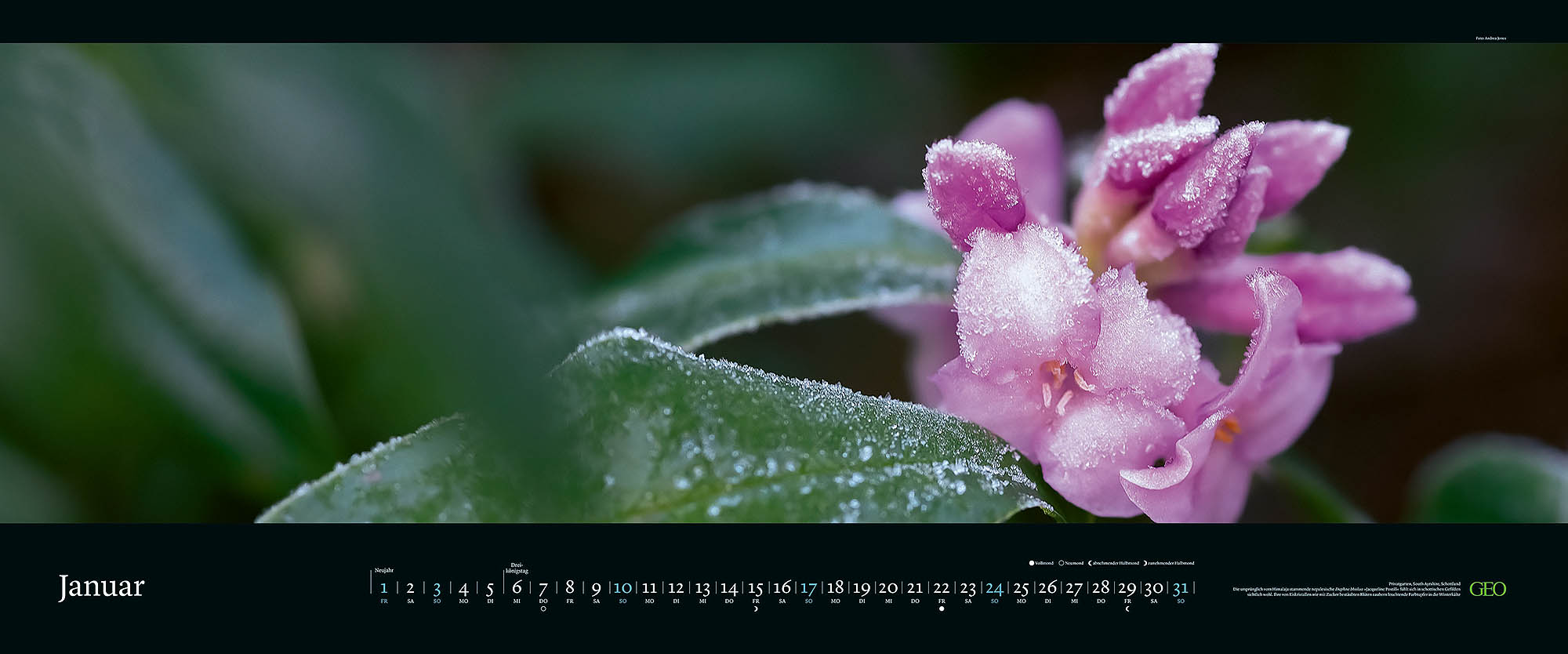 Panorama-Kalender "Die sch&ouml;nsten G&auml;rten" 2027