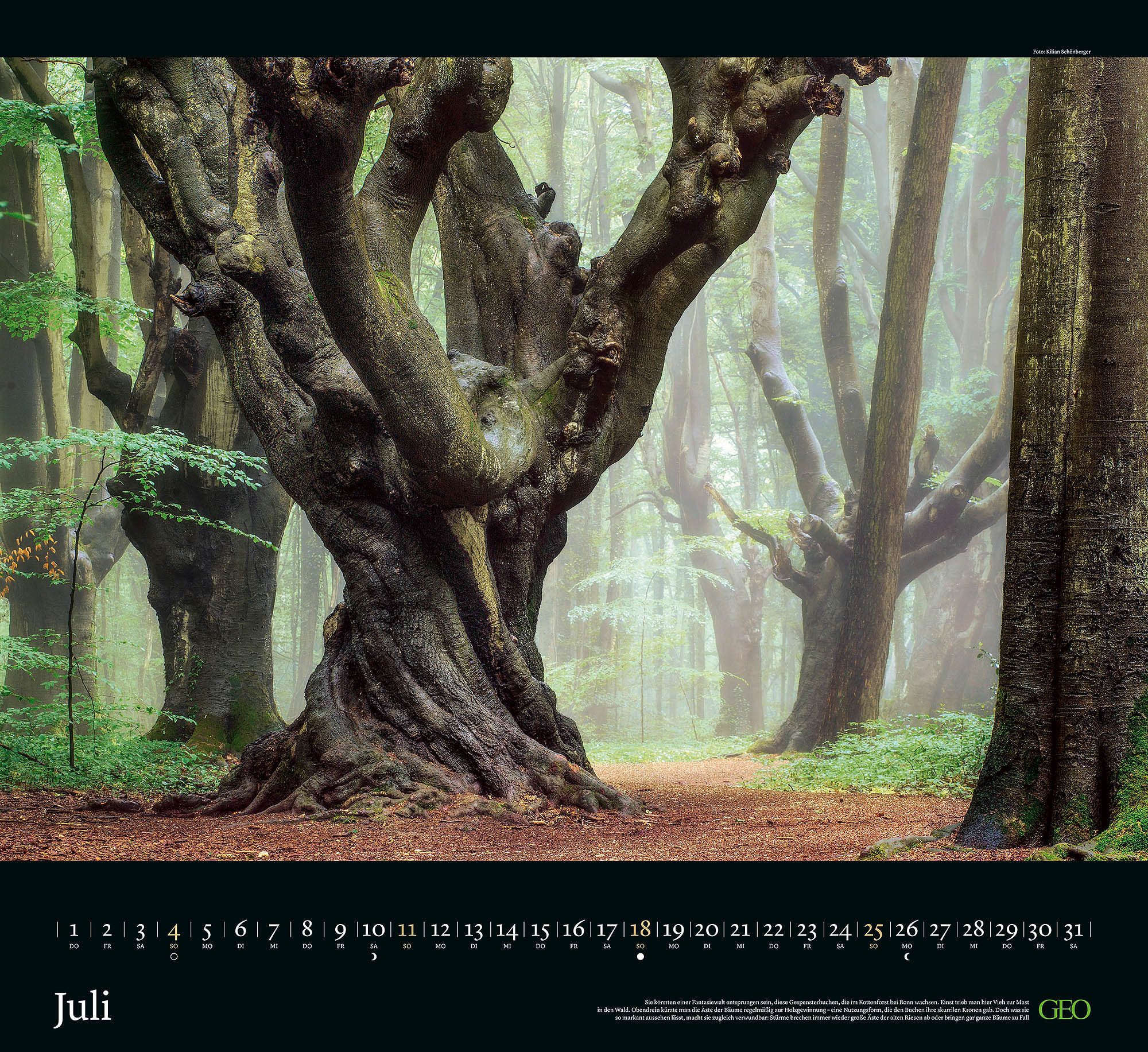 Kalender "Sehnsucht Wald" 2027