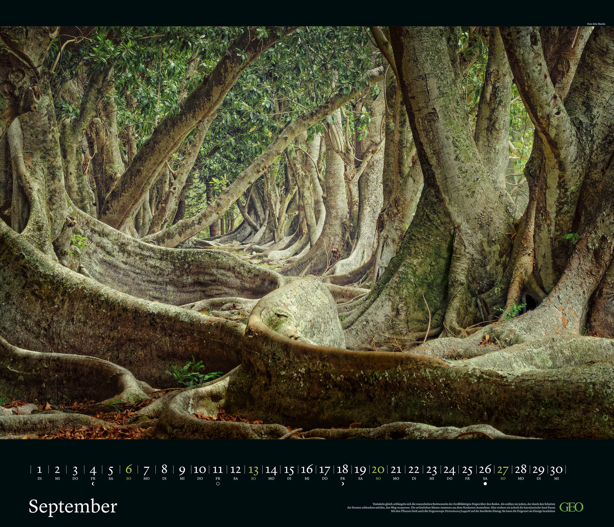Edition-Kalender "Kräfte der Natur" 2026