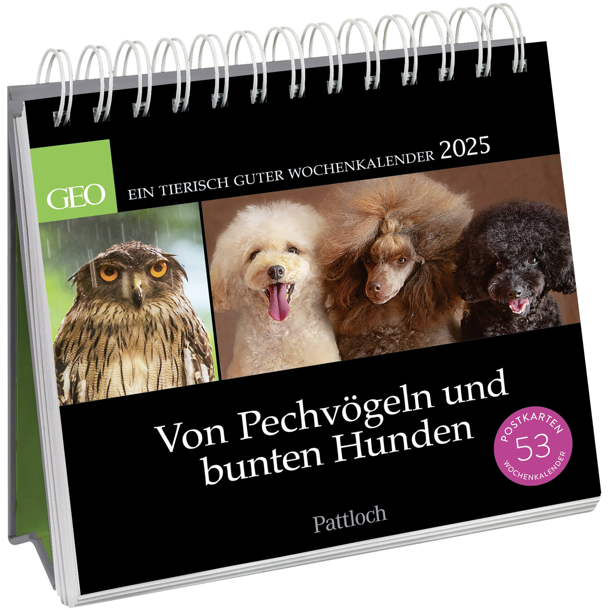 GEO-Tischkalender 2025 „Von Pechvögeln und bunten Hunden“