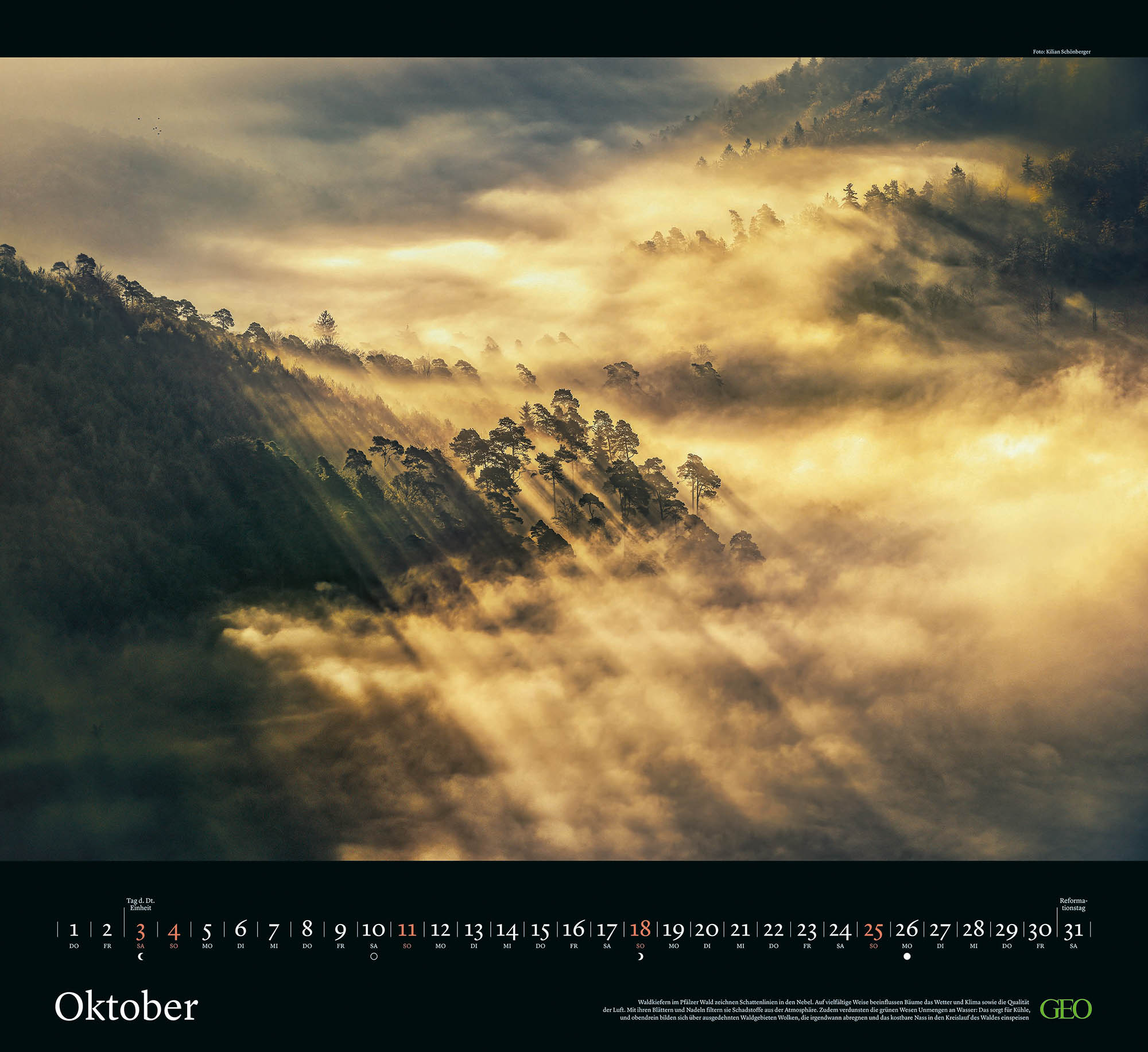 Kalender "Sehnsucht Wald" 2026