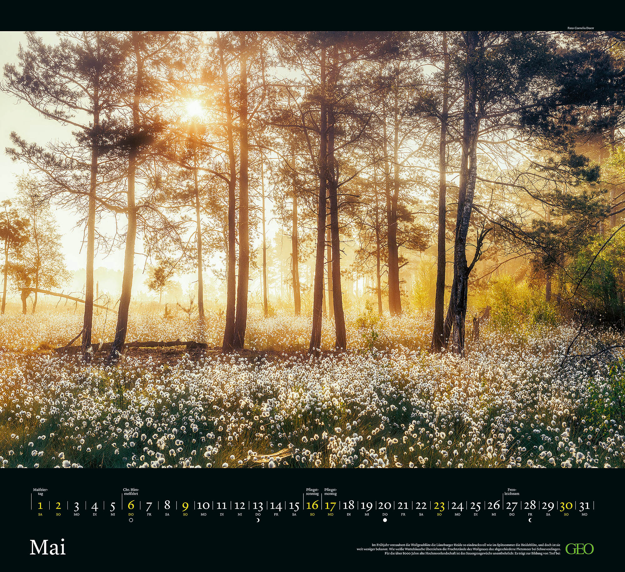 Kalender "Naturwunder Deutschland" 2027