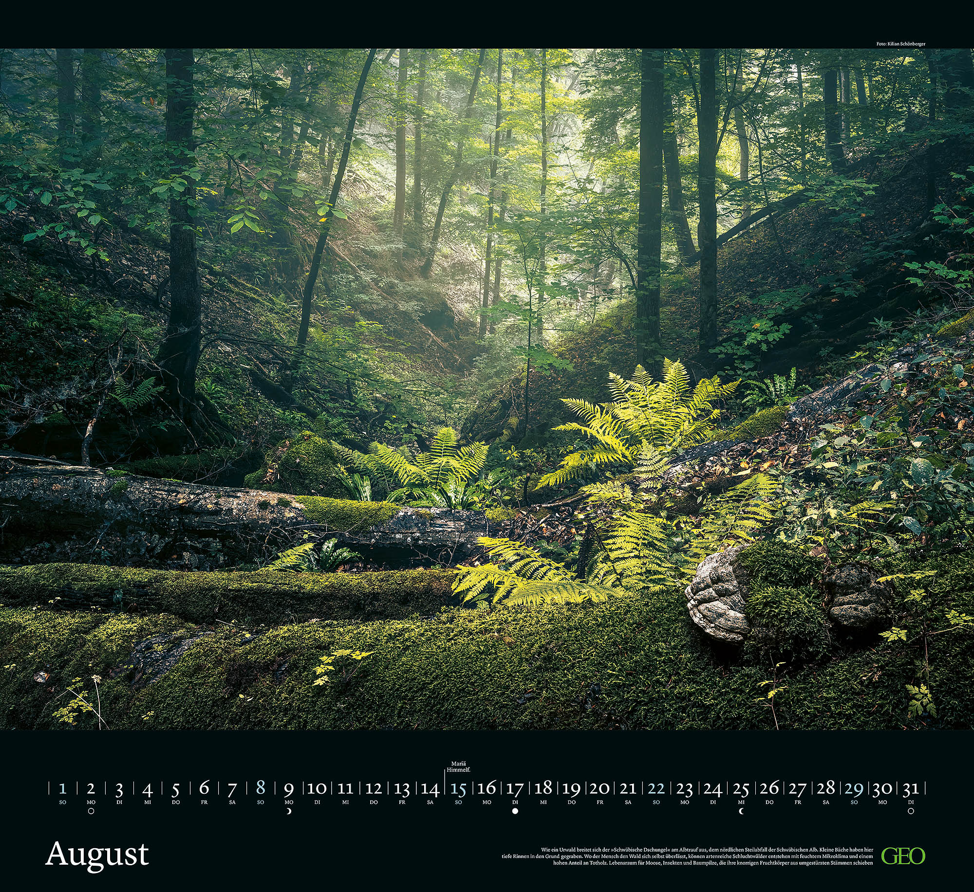 Kalender "Sehnsucht Wald" 2027