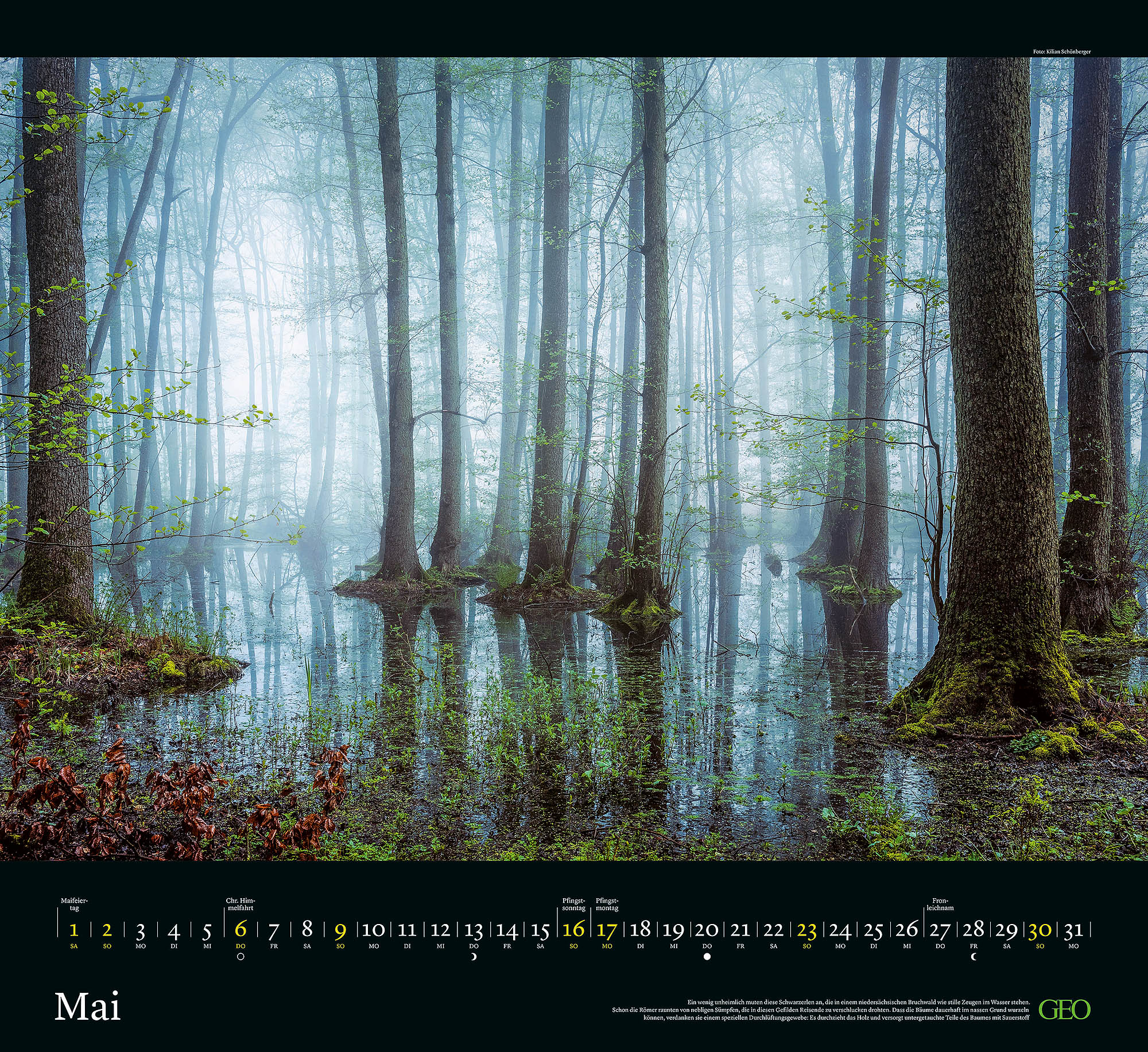Kalender "Sehnsucht Wald" 2027