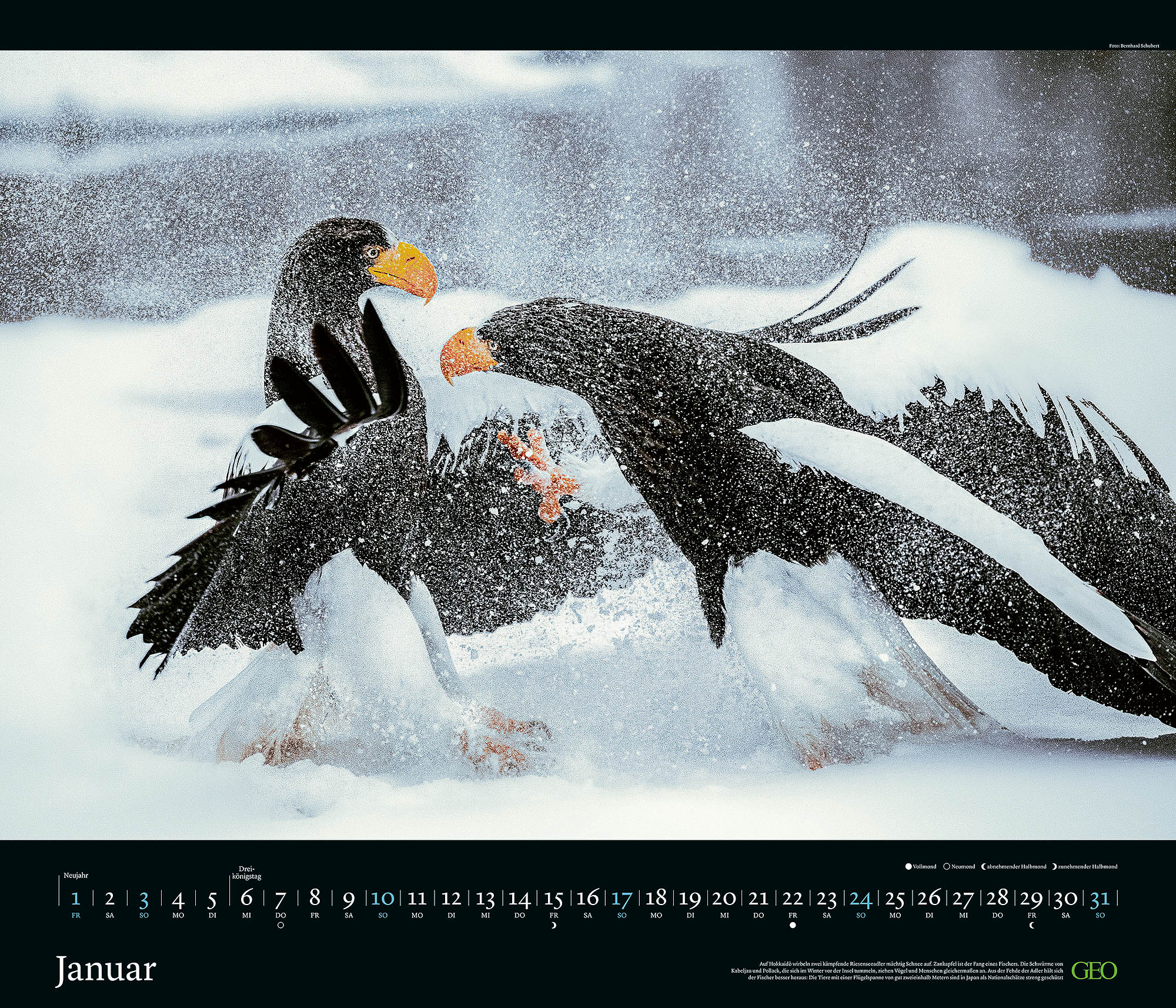 Edition-Kalender "Tierwelten" 2027