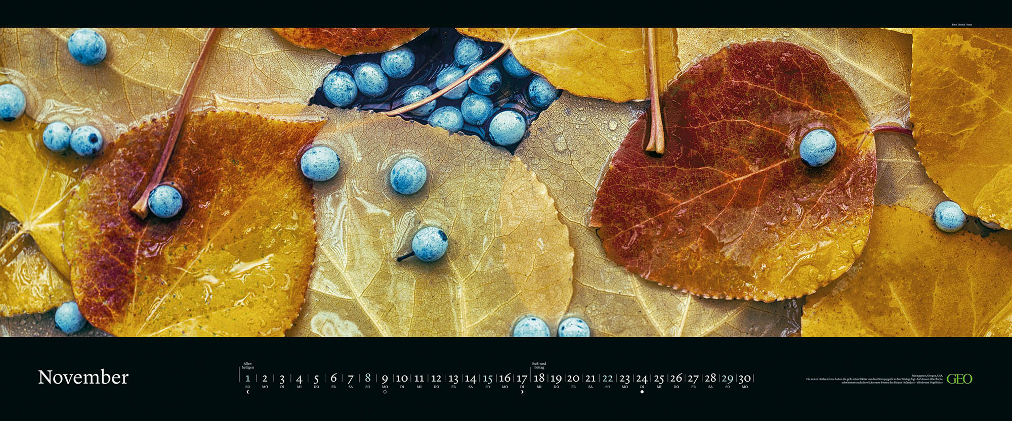 Panorama-Kalender "Die schönsten Gärten" 2026