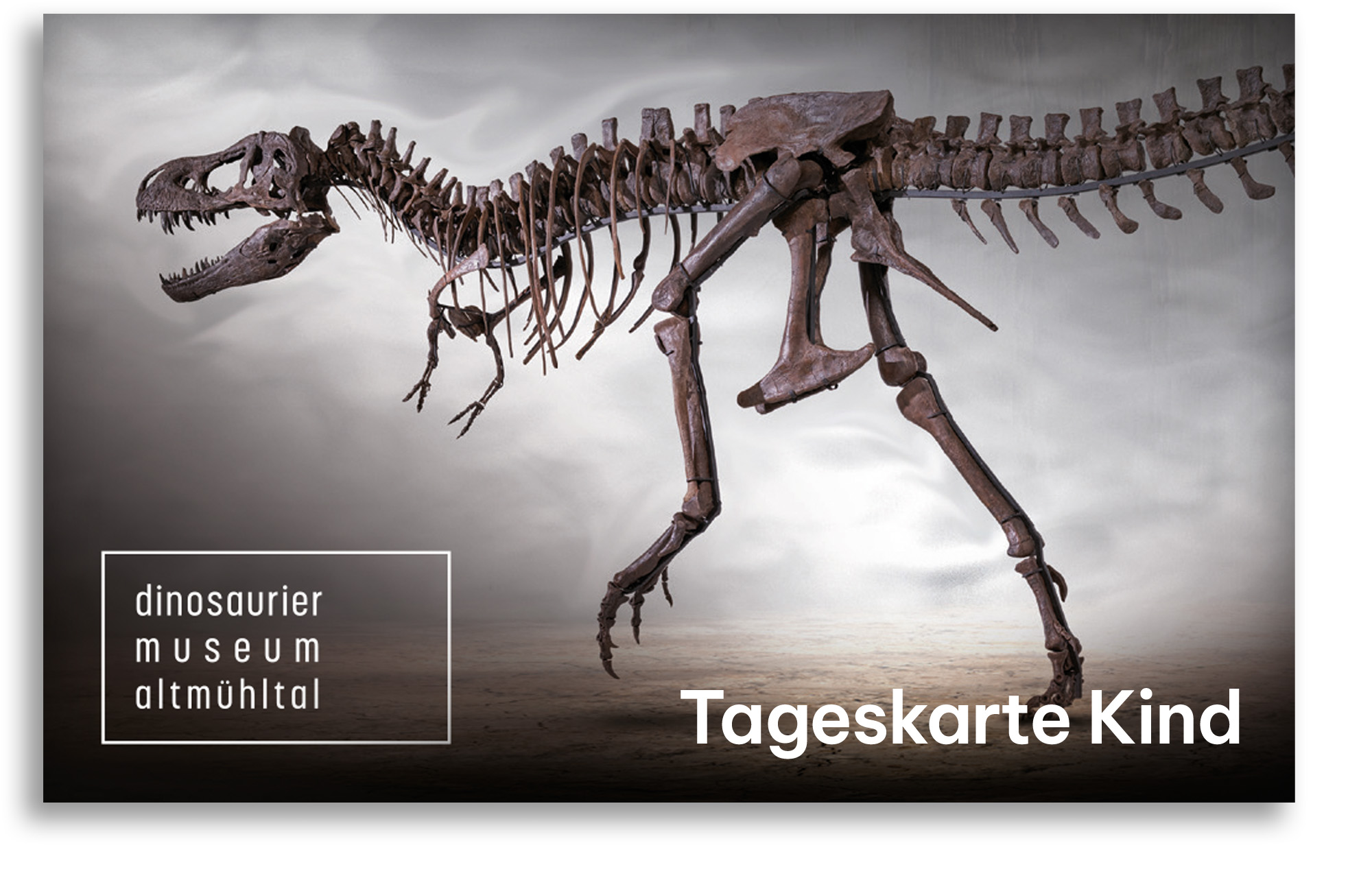 Dinosaurier Museum Altmuehltal Kinder-Tageskarte Dinosaurier Museum Altmuehltal Kinder-Tageskarte