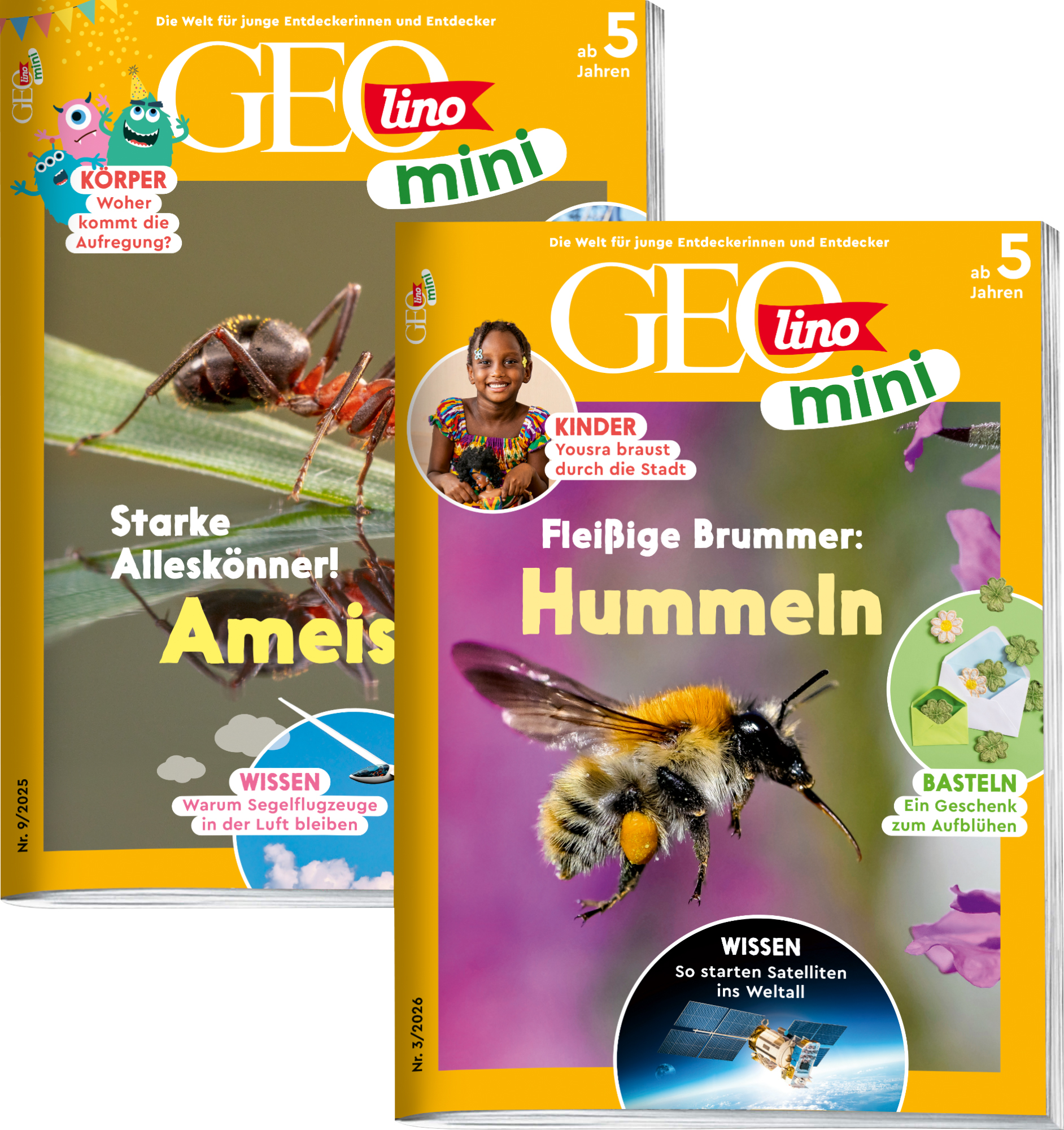 GEOLINO MINI-Bestseller &bdquo;Ameisen&ldquo; & &bdquo;Hummeln&ldquo;