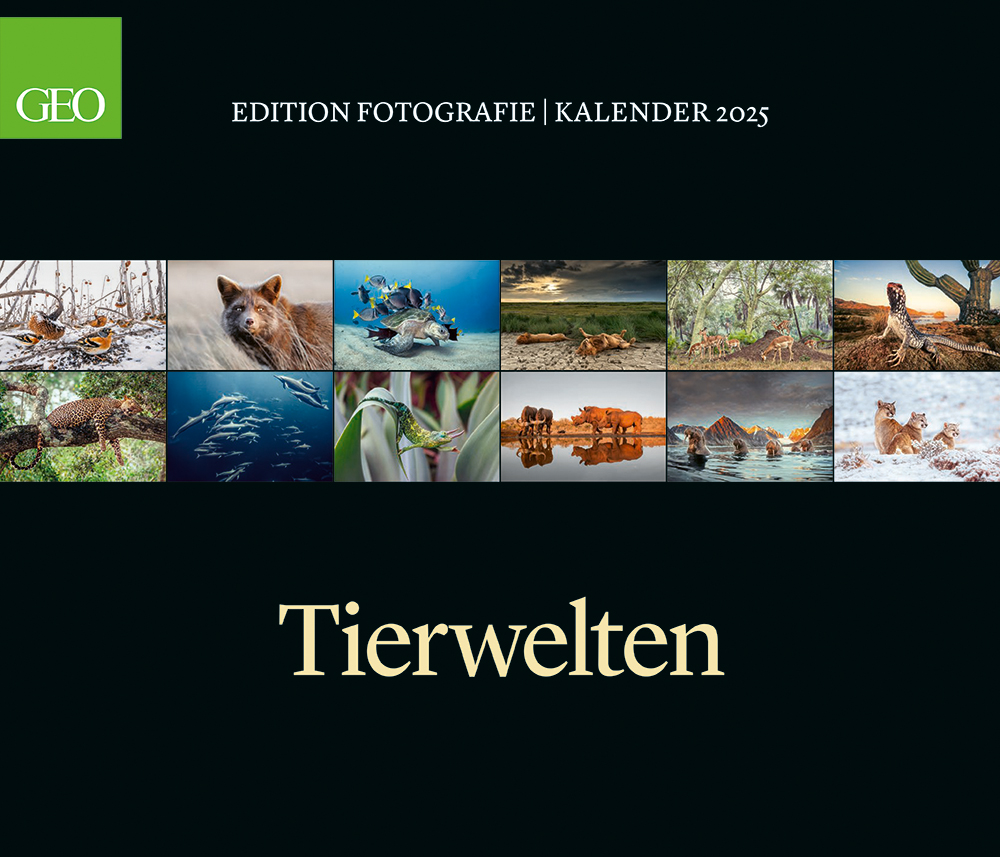 Edition-Kalender "Tierwelten" 2025