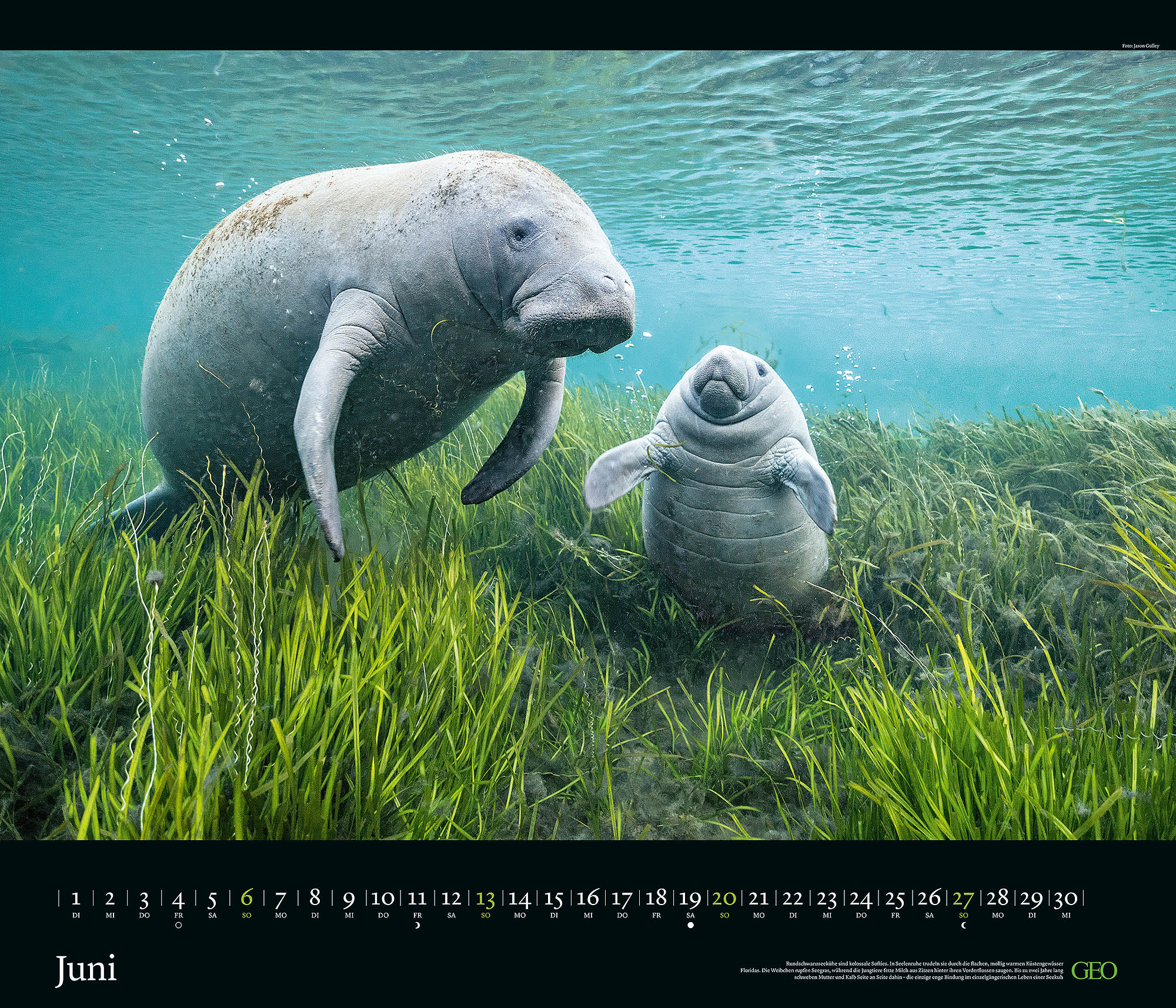 Edition-Kalender "Tierwelten" 2027
