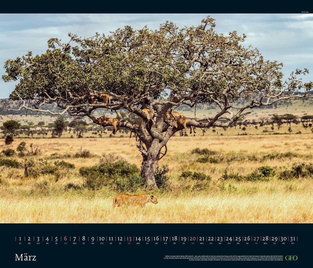 Edition-Kalender "Tierwelten" 2022