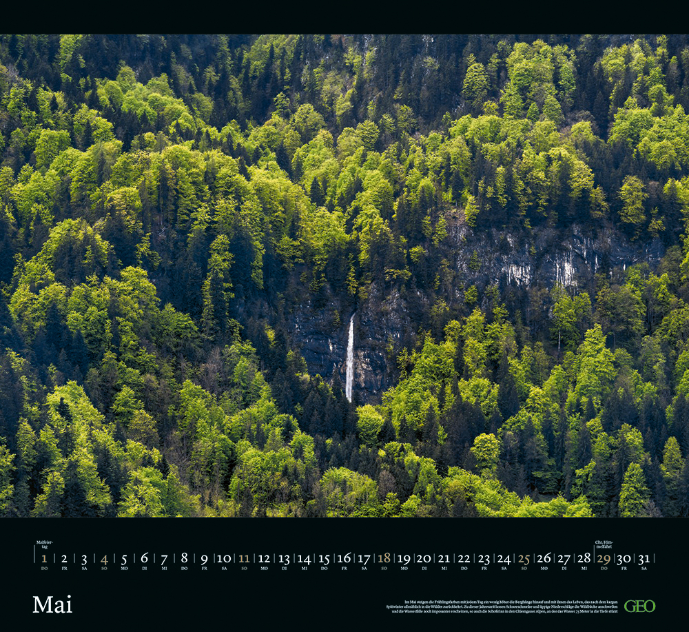 Kalender "Sehnsucht Wald" 2025