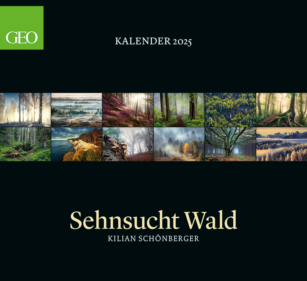 Kalender "Sehnsucht Wald" 2025