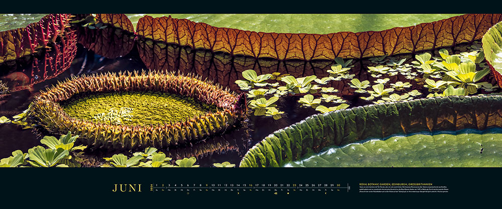 Panorama-Kalender "Die schönsten Gärten" 2024