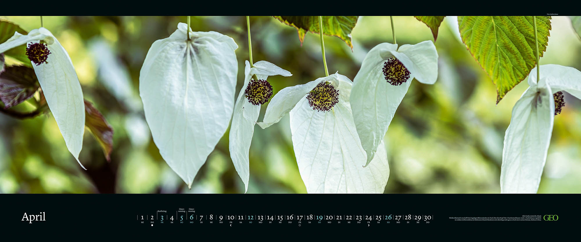 Panorama-Kalender "Die schönsten Gärten" 2026