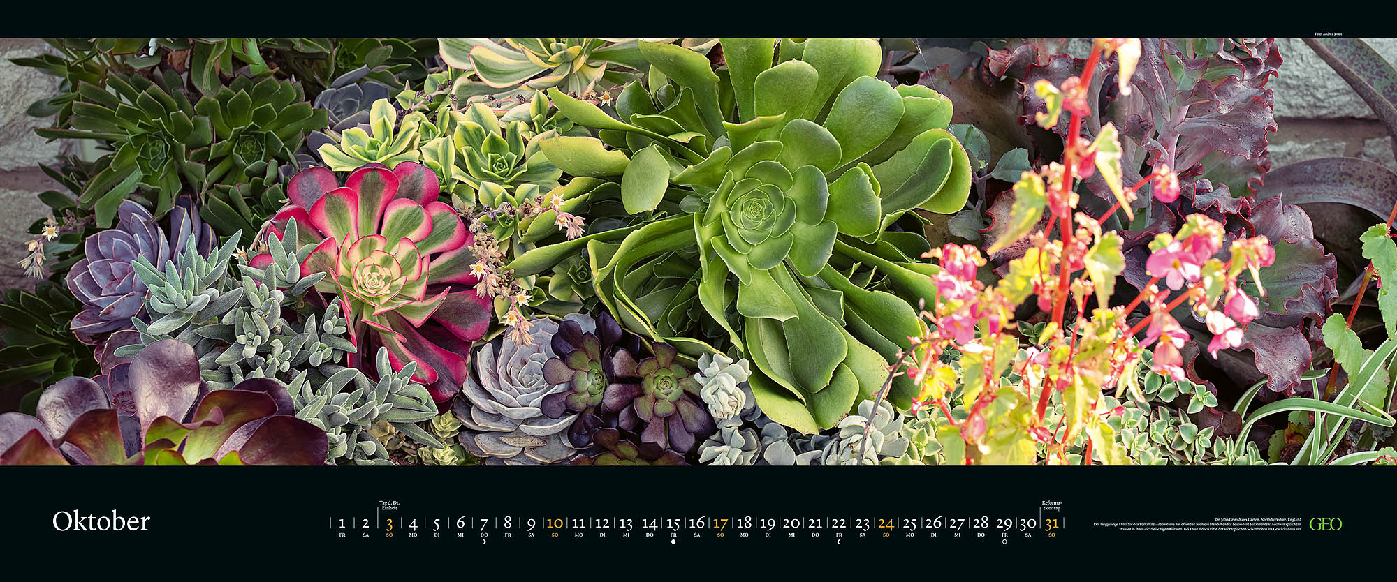 Panorama-Kalender "Die sch&ouml;nsten G&auml;rten" 2027