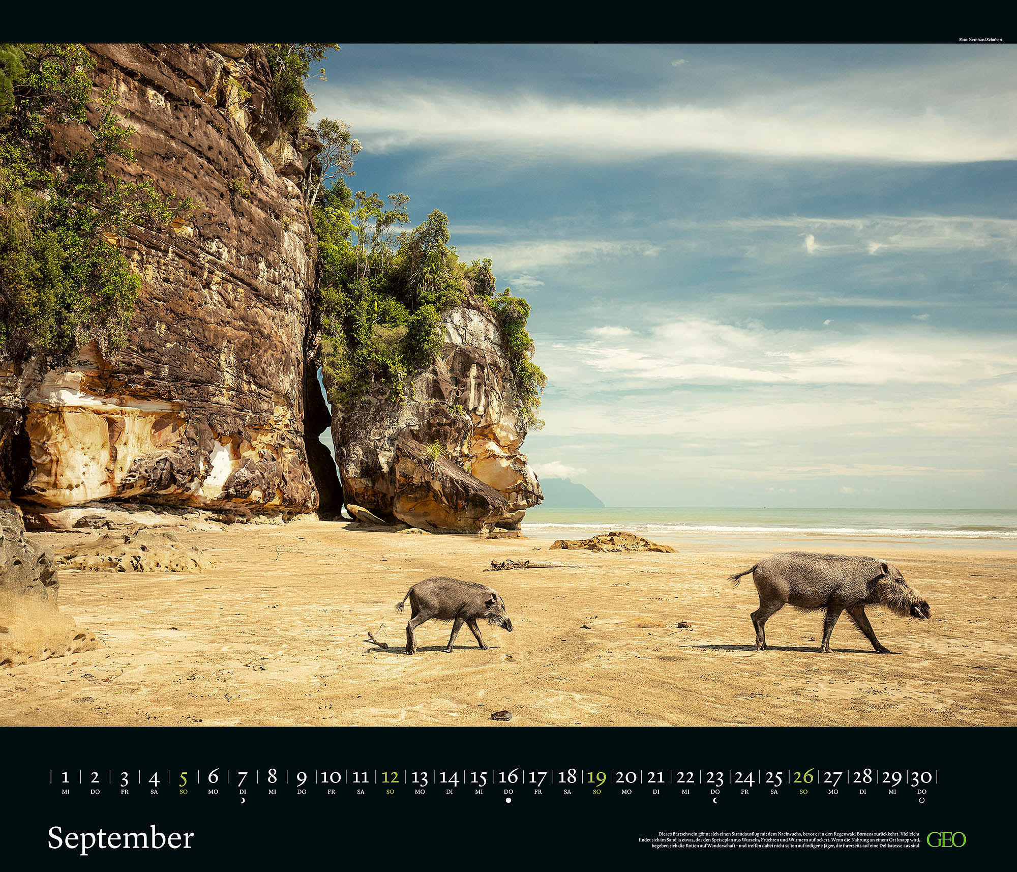 Edition-Kalender "Tierwelten" 2027