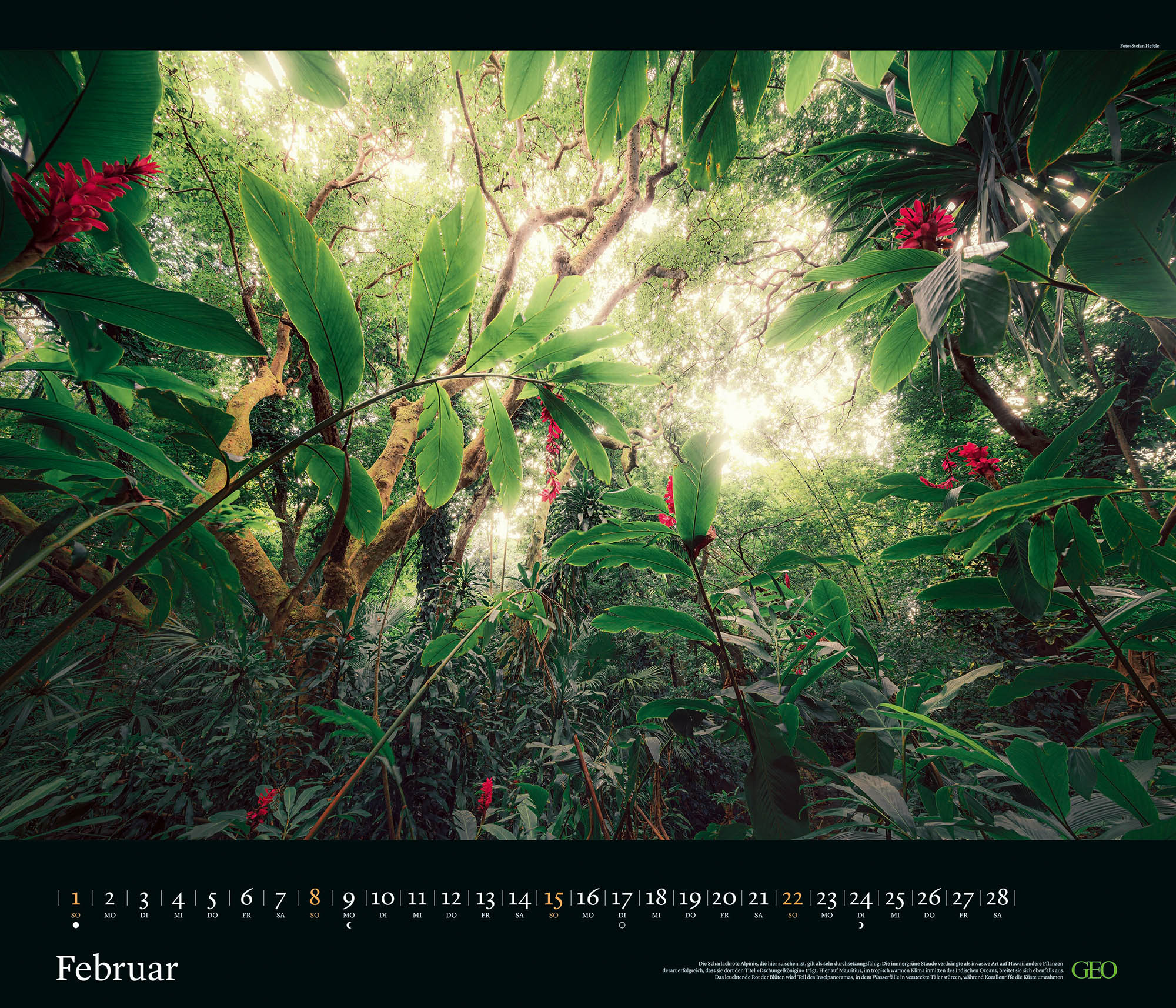 Edition-Kalender "Kräfte der Natur" 2026