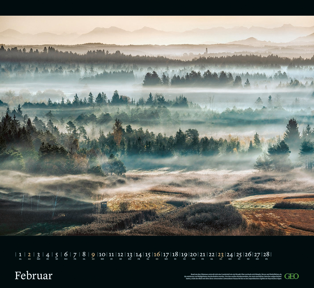 Kalender "Sehnsucht Wald" 2025