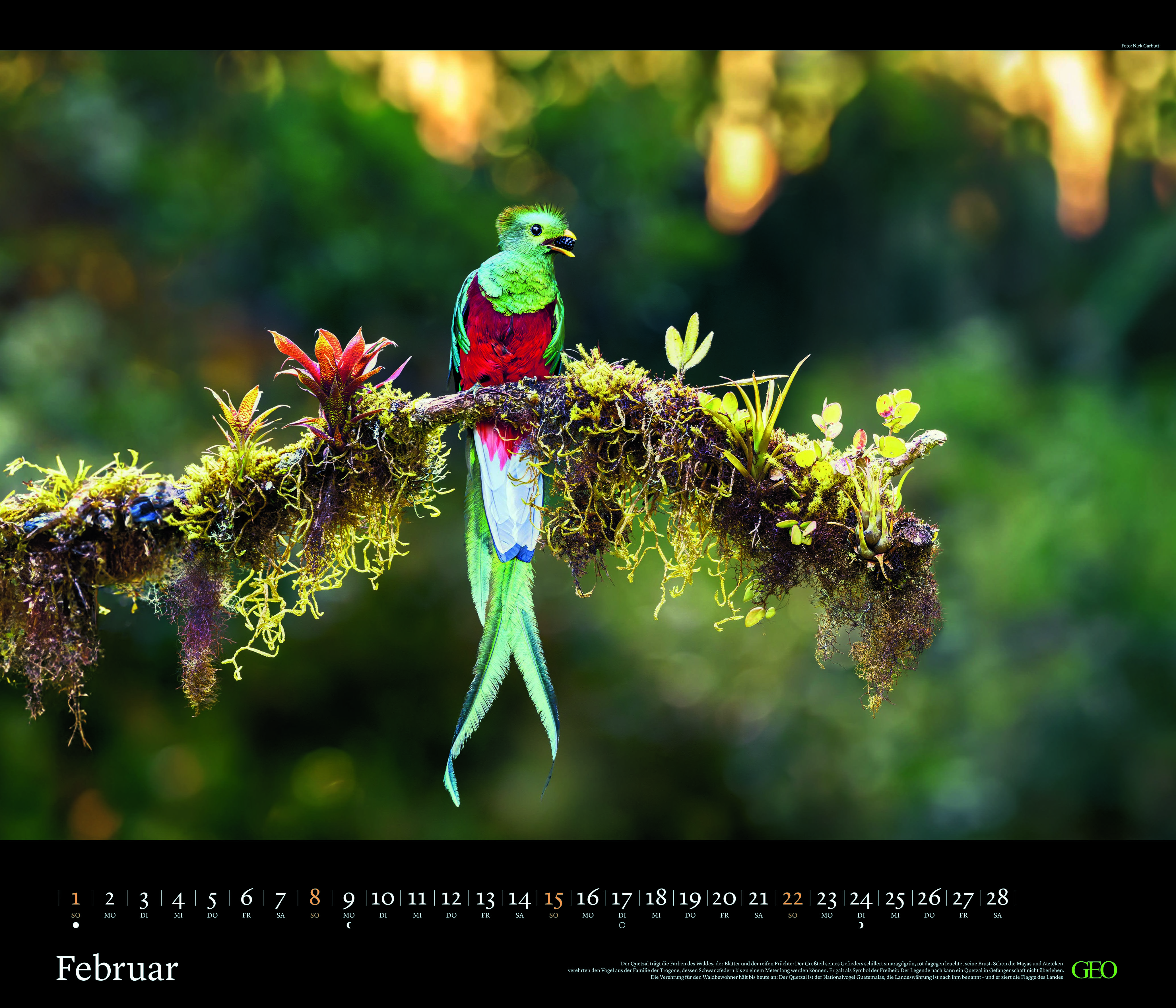 Edition-Kalender "Tierwelten" 2026