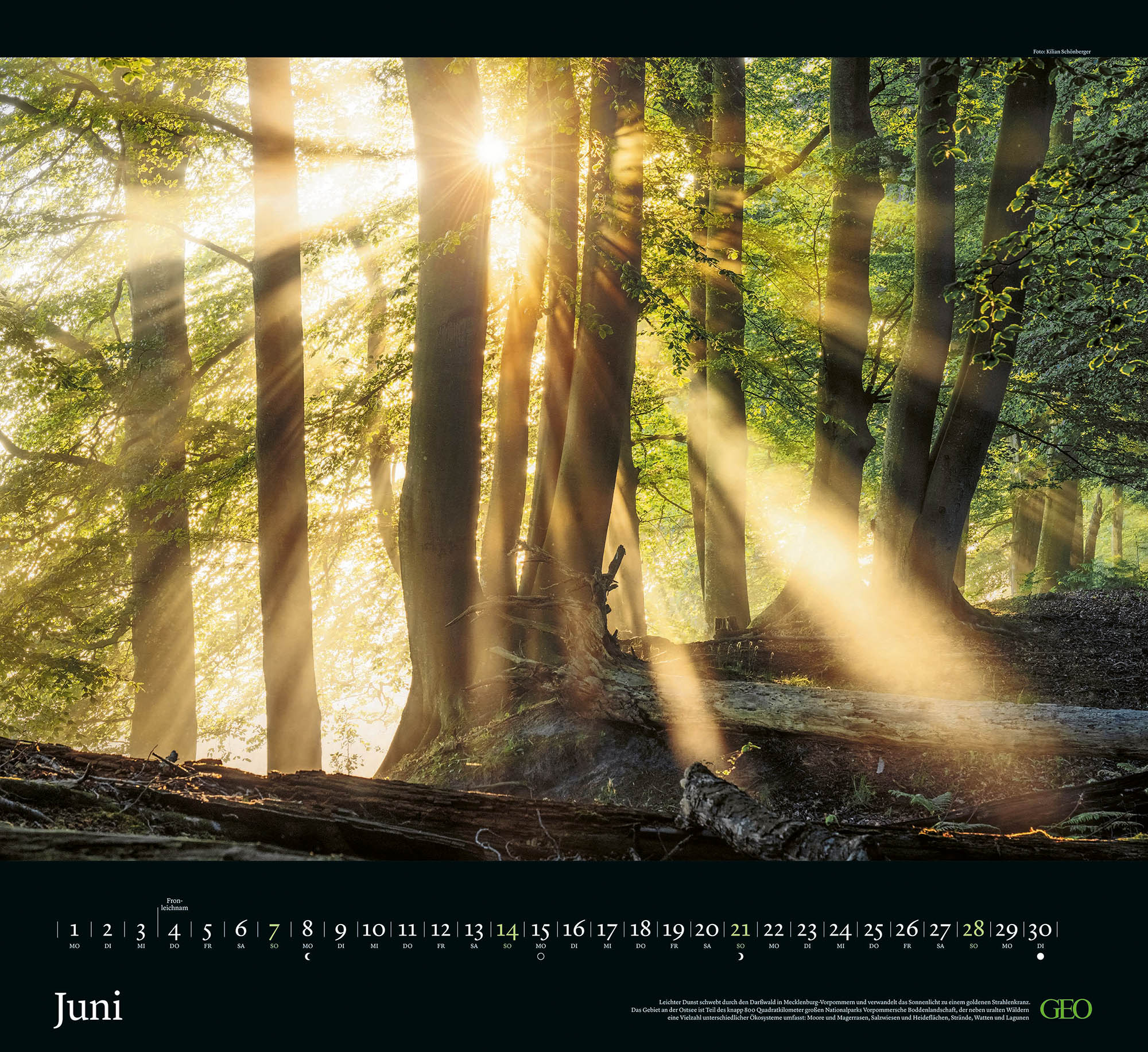 Kalender "Sehnsucht Wald" 2026