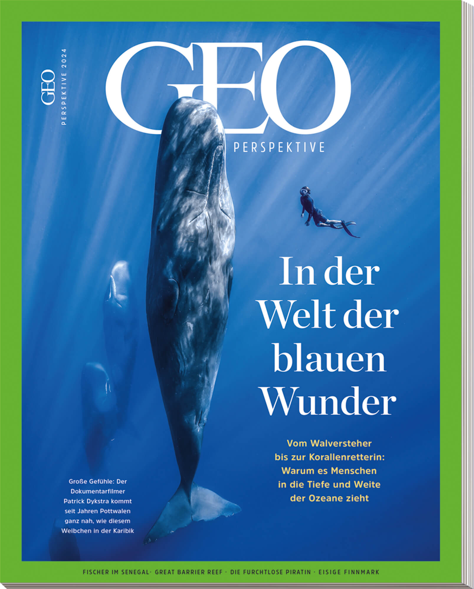 GEO PERSPEKTIVE &bdquo;In der Welt der blauen Wunder&ldquo;