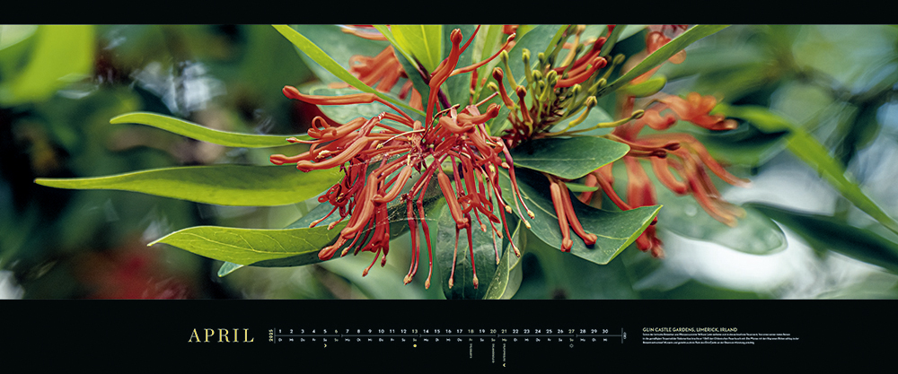 PanoramaKalender "Die schönsten Gärten" 2025 bestellen