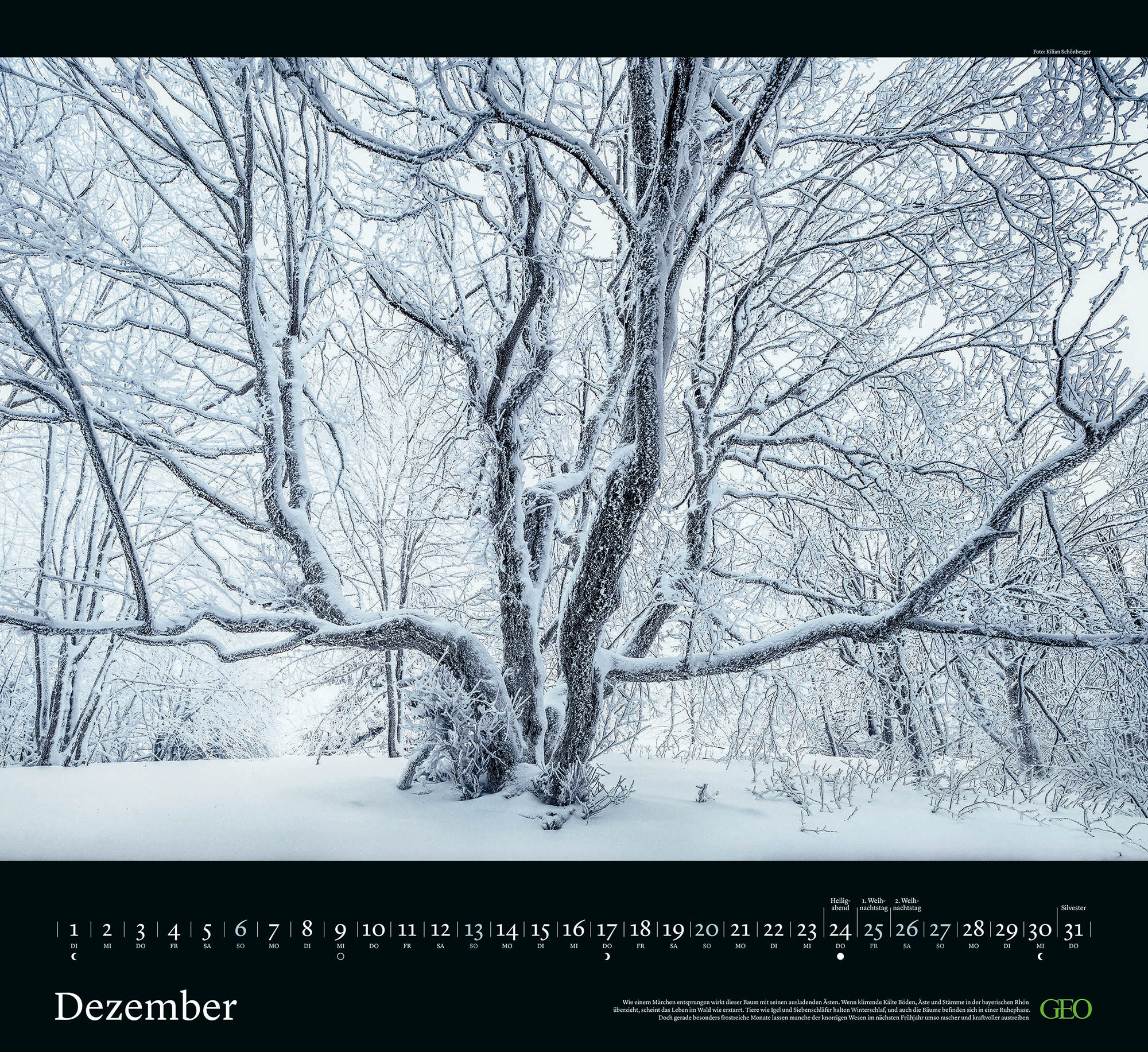 Kalender "Sehnsucht Wald" 2026