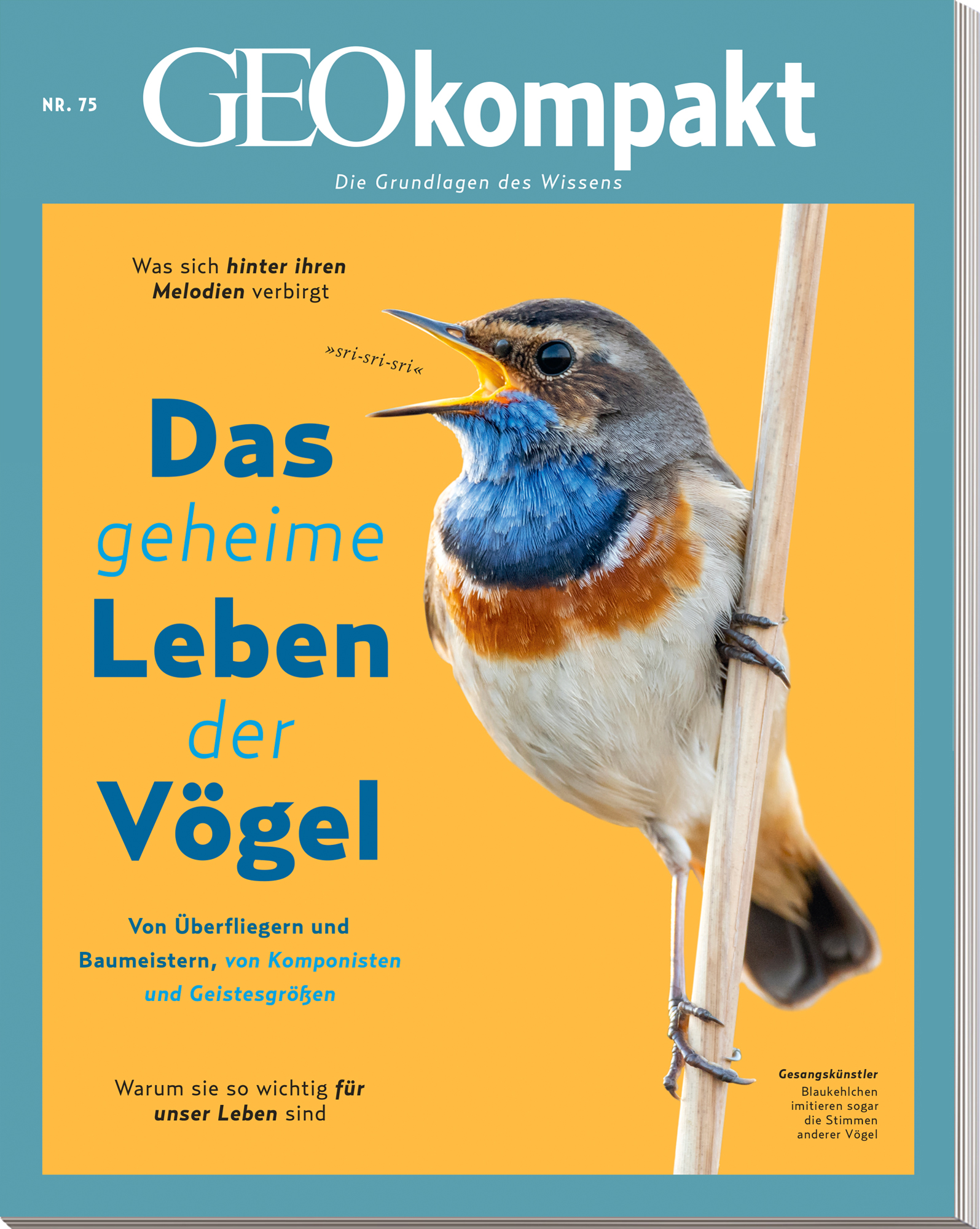 GEO KOMPAKT &bdquo;Das geheime Leben der V&ouml;gel&ldquo;