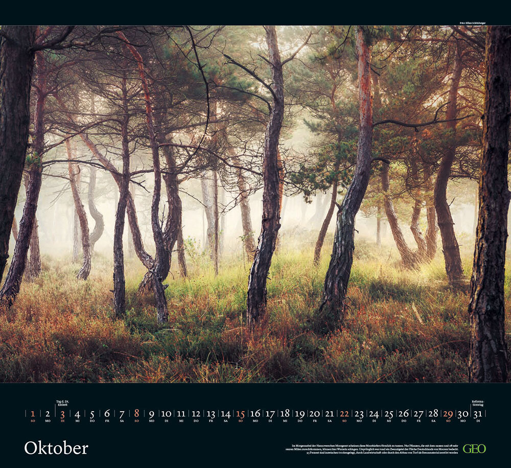 Kalender "Sehnsucht Wald" 2023