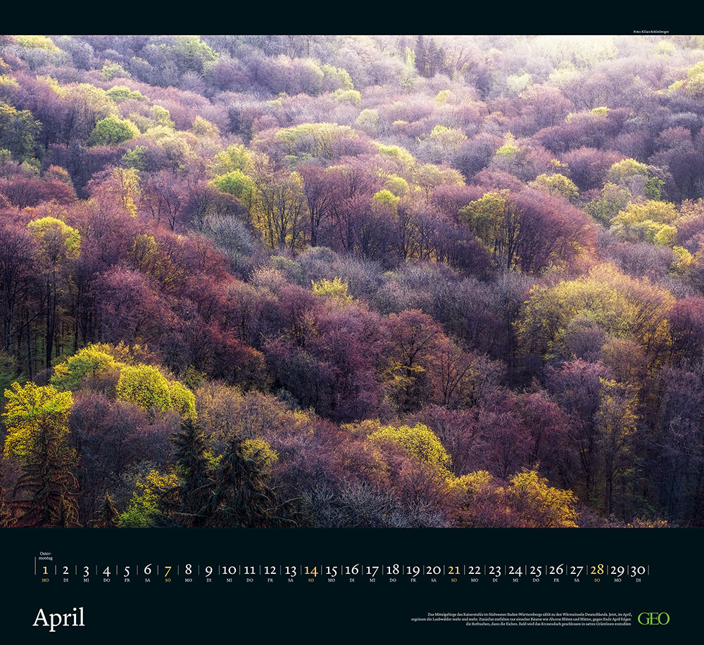 Kalender "Sehnsucht Wald" 2024