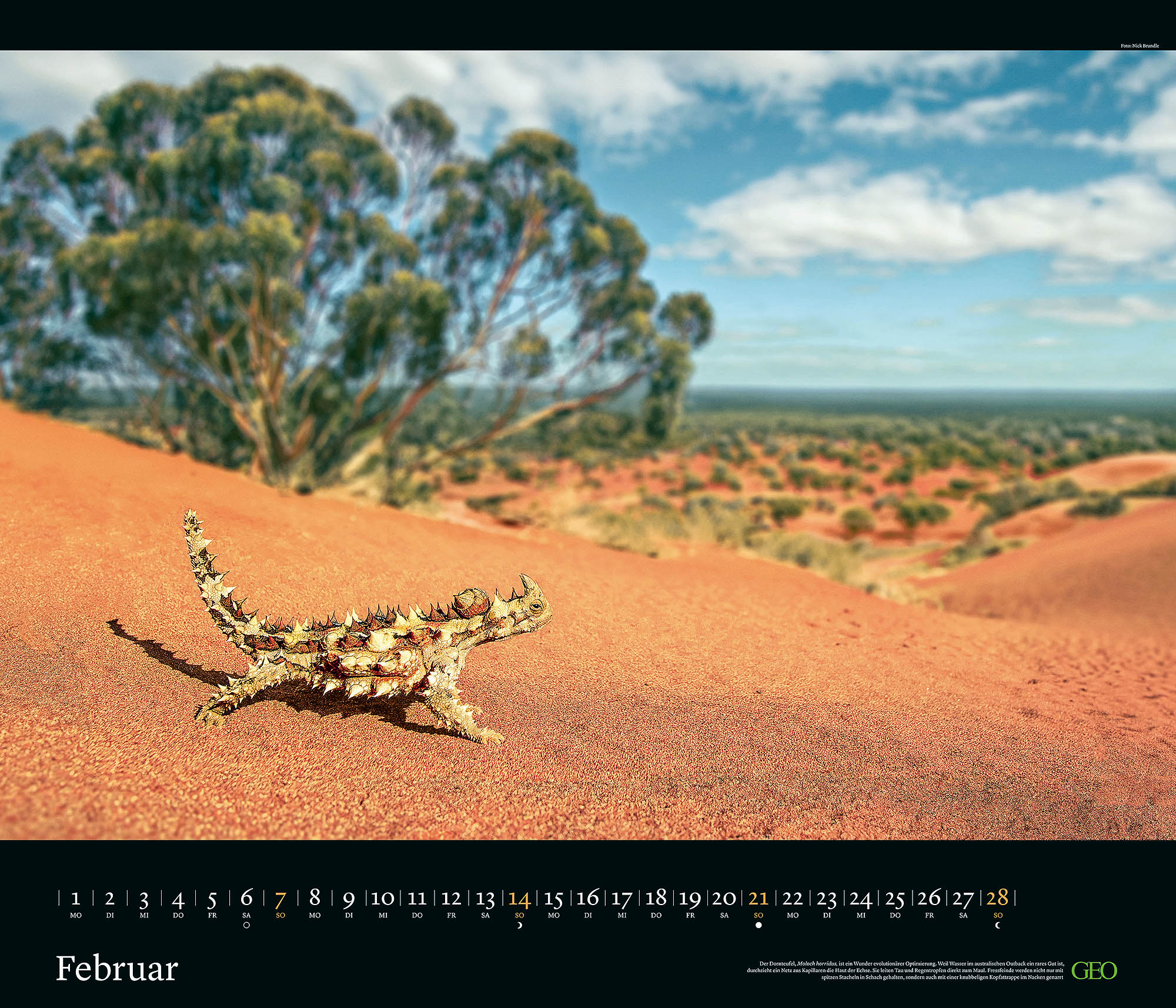 Edition-Kalender "Tierwelten" 2027