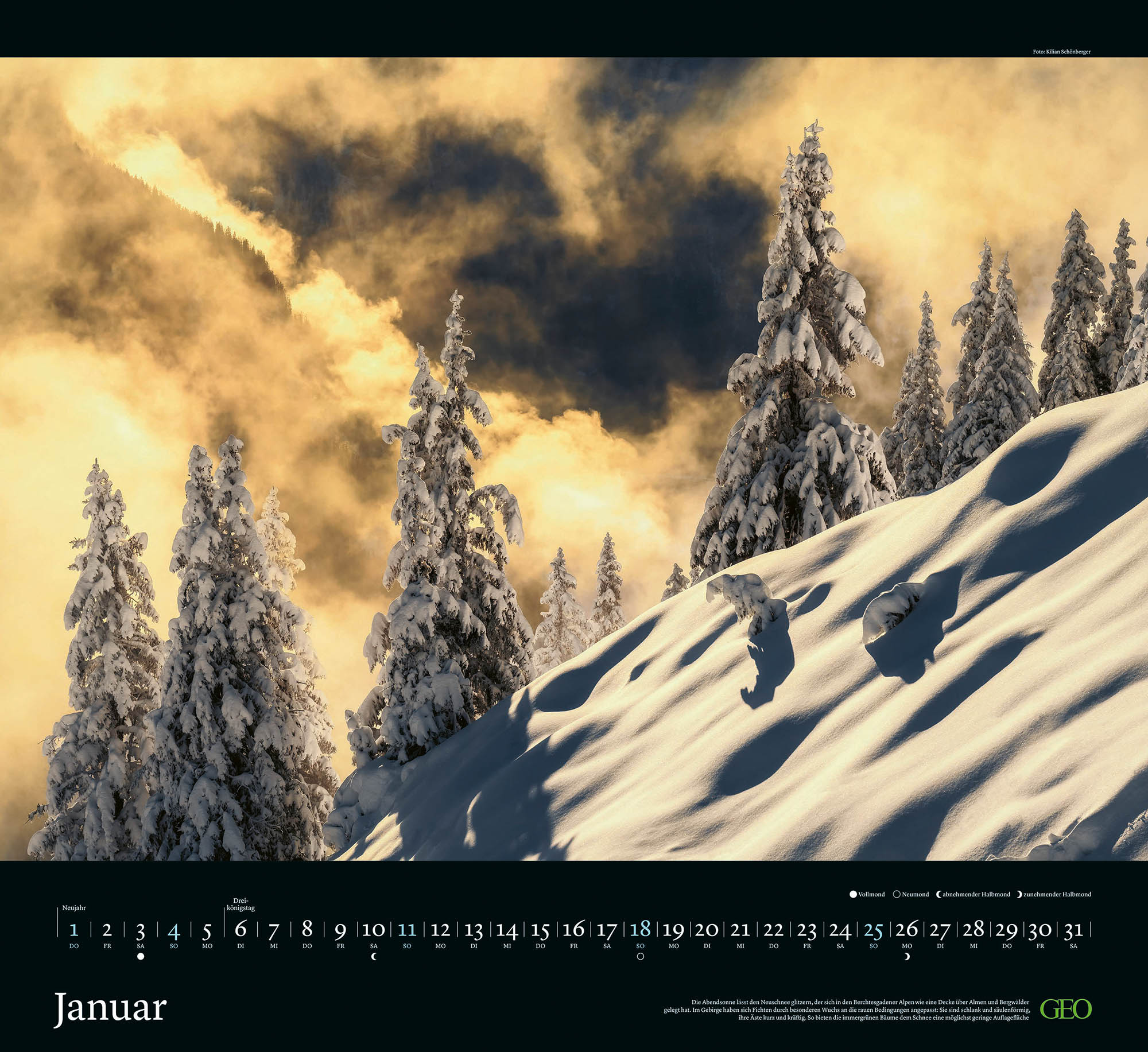 Kalender "Sehnsucht Wald" 2026